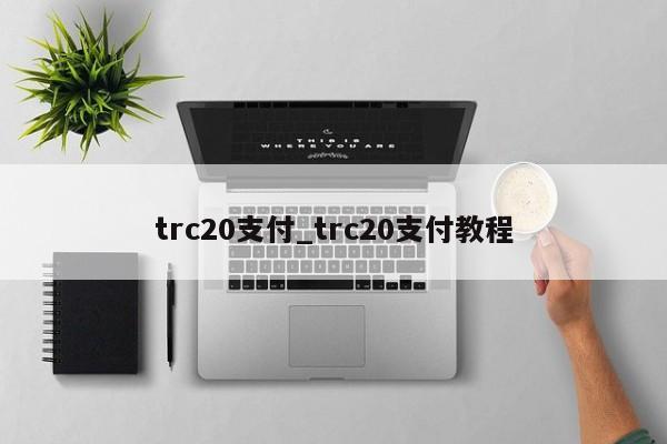 trc20支付_trc20支付教程-第1张图片-华展网