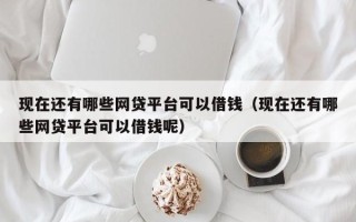 现在还有哪些网贷平台可以借钱（现在还有哪些网贷平台可以借钱呢）