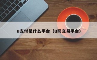 u支付是什么平台（u网交易平台）